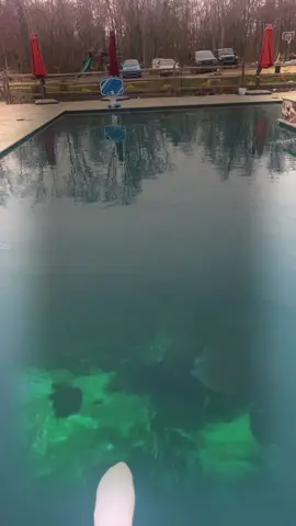 who wants to #splishsplash at kellys pool with us @Kelly finn 