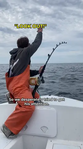 Boater RUNS OVER our Bluefin Tuna