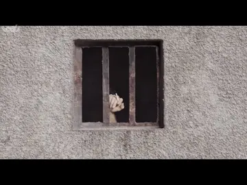 هذا الفيلم يخليك تصفن وتفكر الف مرة هم اكو بعد ناس مثل هذا الشخص بهاي الدنيا  السينما الايرانية ابداع خالص ✨  #اكسبلور #fy #explore #fyp #fypage 