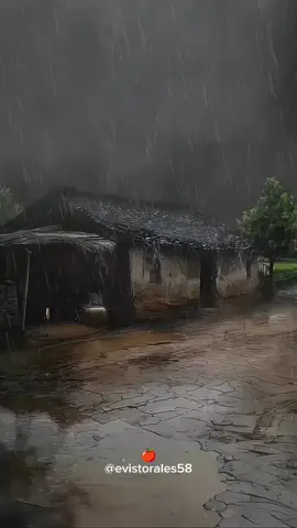 #Aikoverekepechevisita #grupotavarandu #dulceidiomaguarani #polkaparaguaya🇵🇾💃 #polca #guarani #lluvia #ñandembaeteete #paraguajitajuky🇵🇾♥️🤭🥹 #paraguay 