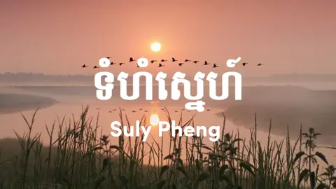 ទំហំស្នេហ៍ - Tomhom sne #សុំបេះដូងម្នាក់មួយផងដើម្បីជាកម្លាំងចិត្ត🙏 #fyp #viral #funny #music #sad #Love #song #tiktok 
