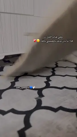 اذكروني بدعوة ولكم المثل 🥺❤️‍🩹#قيام_الليل #ام_إميرال👑💙 #fyp #يوميات_ام_اميرال🤍 #foryou 