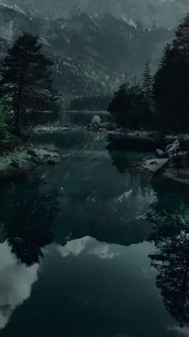 love and peace #nature #forest #calm #relax #fyp #foryou #parati #vibes #viral #aestheticvideos #darkaesthetic #aesthetic 