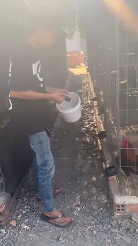 đá gà nói mịa đi . bày đặt đi thi .  🤣🤣🤣🤣🤣