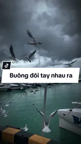 #CapCut /Buông đôi tay nhau ra remix #nhachaymoingay #xuhuong #capcutmaster #buongdoitaynhauraremix #xtbeat 