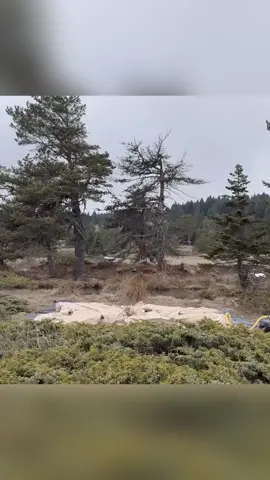 HOT TENT CAMP WITH STOVE DURING A SNOW STORM. P1 #bushcraft  #build  #camp  #camping  #survival  #shelter  #wildlife  #Outdoors  #outdoor  #viral  #fyp  #foryou