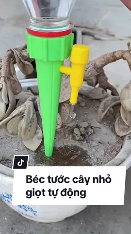 Sử dụng béc tưới tự động nhỏ giọt này rất tiện lợi, không còn lo chậu cây thiếu nước khi vắng nhà nữa. #bectuoicay #bectuoinhogiot #tuoicaynhogiot #voituoinhogiot #tuoicaytudong 