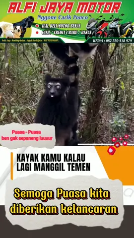 #jualbelimotorsecond  #jualbelimotorbekas  #peternakmuda  #semua 