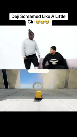 Darkest And Deji Are Such A Good Addition To This Video 🤣🤣🤣 #chunkz #deji #darkest #darkestman #animals #funny #fyp #foryou #fypシ #xbcyza 