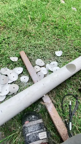 Setelah di pikir2 ternyata tidak jadi, namun setelah di kerjakan ternyata progres sdh 90% 😅😅 #CapCut #hidroponik #selada #seledrihidroponik #seledri #sayur #kebun #hidroponiksederhana #hidroponikrumahan #hidroponokindonesia #hidroponikpemula #berdikari #fypシ #fypシ゚viral #fyp #petaniindonesia🇮🇩🇮🇩🇮🇩🌿🌿 #petanimilenial #berkebun #berkebunsehat 