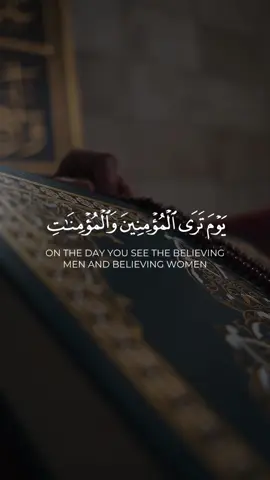 يوم ترى المؤمنين والمؤمنات يسعى نورهم || #سلمان_العتيبي سورة الحديد #قران #قران_كريم #تلاوة_خاشعة #fyp #رمضان 