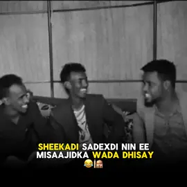 Ibrahim iyo muuse iyo da,uud😂😂 | #somalifunny #somalitiktok #asaddiaby 