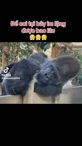 tao chống mất lên thử xem tụi bây im lặng đc bao lâu nè 🤣🤣🤣🤣🤣🤣🤣🤣