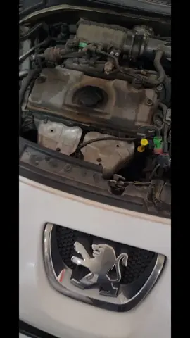 شوف واش صرى في هذي لاشان  Samir Hdi #المغرب🇲🇦تونس🇹🇳الجزائر🇩🇿 