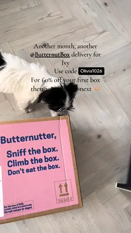 Ivy loves @Butternut Box for her breakfast and dinner 🫶🏼 #dog #butternutbox #box #dogfood #doggy #fussyeater #fussyfoodie #Foodie #dogs #animals 