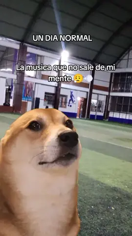 letras que traen recuerdos 😮‍💨☹️ #chacalon #llantodeunniño #publico 