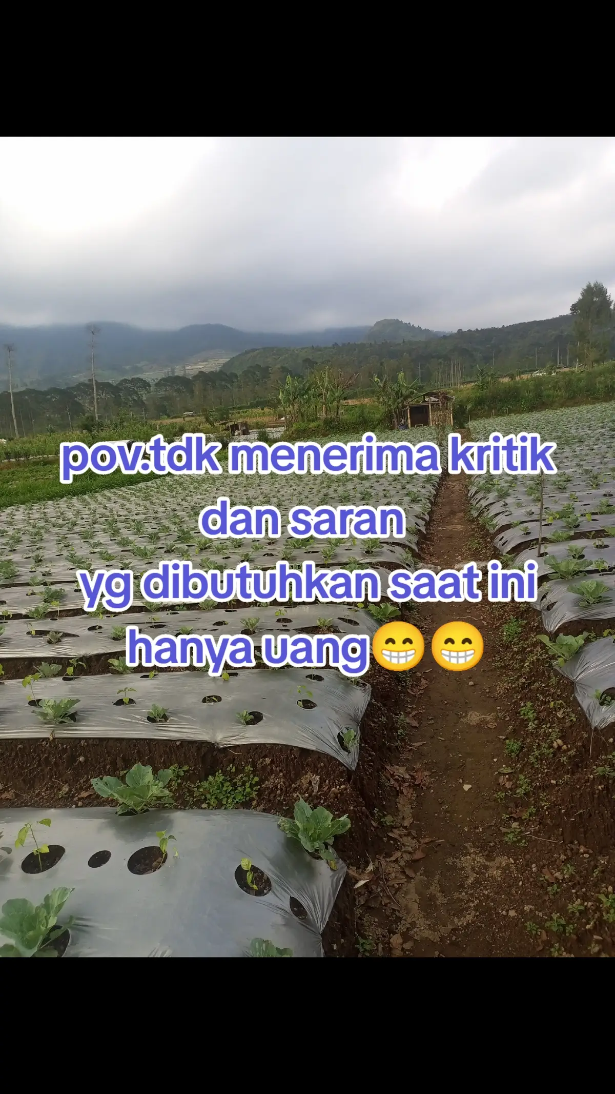 tidak menerima kritik dan saran yg dibutuhkan saat ini adalah uang buat kebutuhan🤭🤭