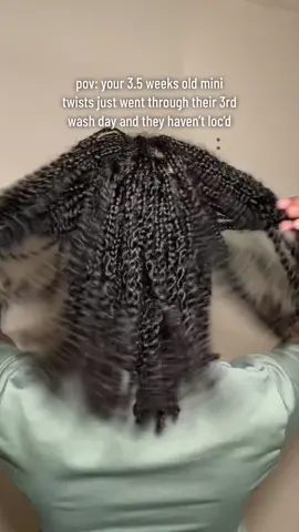 week 4 of mini twists is about the time when i start treating them like locs- a little more frizz and a little more volume #minitwists #minitwistsonnaturalhair #type4hair #type4naturalhair #type4haircare #naturalhairtiktok #type4hairstyles 