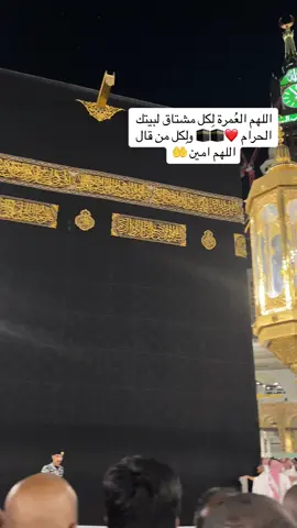 #اللهم_صلي_على_نبينا_محمد #الهم_صلي_على_محمد_وأل_محمد #عمرة #بيت_الله #mashallah #مكة #المدينه_المنوره #العراق 