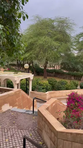 تزاحمت النعم مطر ورمضان وربٌ مجيب🥹🤍#explore #foryou #riyadh #wheretovisitriyadh #اماكن_الرياض #بلوقر_الرياض🤍 #الرياض #تغطيات_الرياض #رمضان #dq #حدايق_الرياض #حديقة_اليمامة #السفارات 