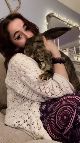this was the best cuddle i think ive ever had with Bonnie🙈🥰🐰  #giantrabbit #foryou #giantbunny #frenchlop #rabbitsoftiktok #fyp #animallover 