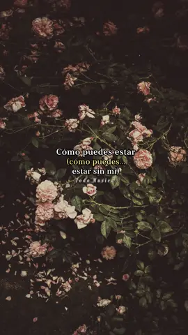 Jon Secada - Otro Día Más Sin Verte #jonsecada #otrodiamassinverte #pop #musica 