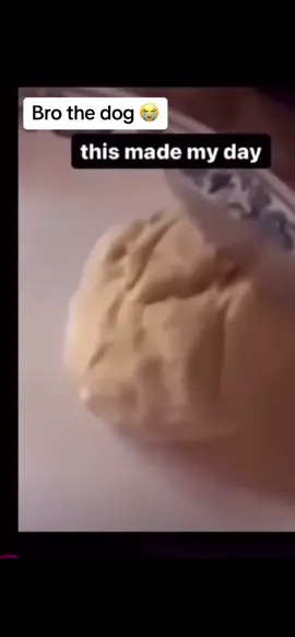 #lowqualitymemes #memes#funny#fyppo#funnyvideo #bread#fyppppppppppppppppppppppp 