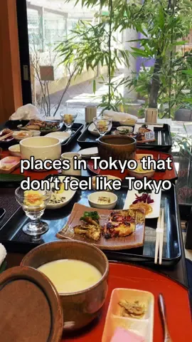 more details below 👇🏻  Only 1 station away from Shinagawa Station in Tokyo, you can easily feel like you’ve escaped the city for an afternoon!! Enjoy a unique organic and seasonal Japanese lunch set with congee amongst local residents at @shikizen.restaurant 📍 〒142-0041 Tokyo, Shinagawa City, Togoshi, 2 Chome−6−23 八幡神社内 Shrine name is Togoshi Hachiman Shrine 戸越八幡神社 #hiddentokyo #shinagawa #organic #shrine #explorejapan