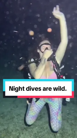 Tag a friend you want to bring under the waves after midnight with us 🦈🌊🐳 who will be joining us on our next dive? #fyp #babyshark #wildlife #blowthisup #trending #foryourpage #shark #jumpscare #yoho 