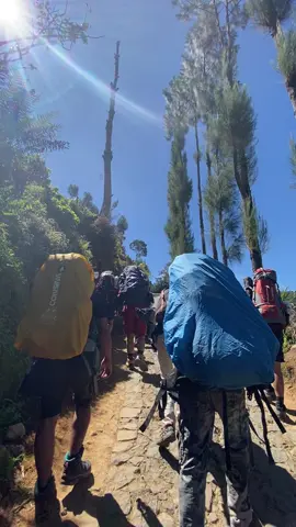 Oke☺️ #masukberanda #masukberandafyp #pendaki #berandafypシ #pendakisantuy #prau #mtprau2565mdpl #mtprauviapatakbanteng 