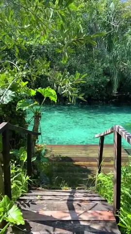 📍 Bonito, Mato Grosso do Sul, Brazil 🇧🇷 🎥 visitbonito , visitmatogrossodosul #Bonito #MatoGrossodoSul #Brazil #Brazil🇧🇷 #nature #fyp #foryoupage #foryourpage #fypシ 