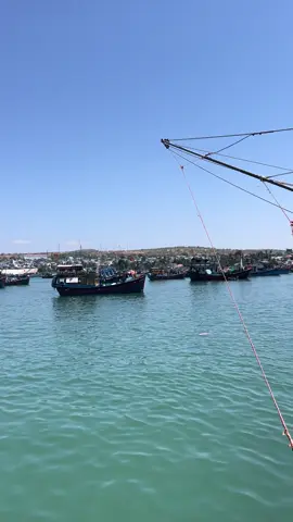 Những #idol đủ các mọi tỉnh miền#79khanhhoa #85 #72vungtau đã có mặc tại #86binhthuan #mũiné 