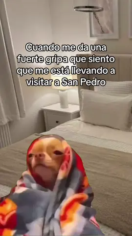 #humor #humortiktok #fuerte #gripa #gripe #meestallevando #sanpedro  #queridodios #MemeCut #Meme 