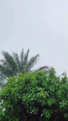 اجواء المطررررر اليوم🌧️🌧️🌧️🫀💙 مطرررررررر