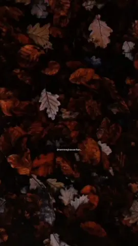 هوَ أنيس التائهين 🤍 هوَ حبيب العاشقين 🤍    هوَ الله❤️ #أنيس_التائهين  #الله 