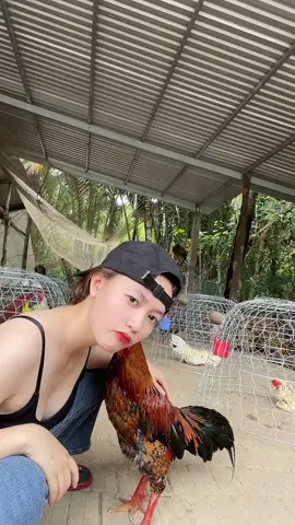 Hế nhô - NHƯ THÍCH LA CÀ