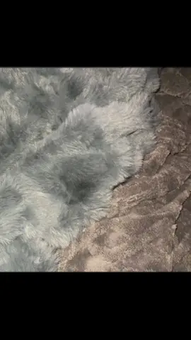 #ttsacl #homedecor #blankets #fyp 