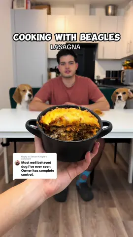 Replying to @Steven Knight DAD WAS GETTING BULLIED 🤣🤣 This was probably the messiest, most chaotic video we’ve ever made… and there have been a few that were really up there on the chaos scales!! 😅 Due to the amount of chaos, this is the first 2 minute cooking video - hope you enjoy!!  Ingredients used: oats, egg, bell pepper, beetroot, cauliflower, beef, cheese  [Disclaimer: we own the full rights to this video and we do not give permission for this video to be used or reposted] #beagle #funnydog #beaglesoftiktok #dog #dogcontent #viralvideos #cookingwithdogs #cookingwithbeagles #viral #dogparent 