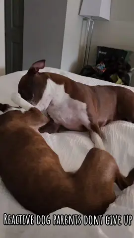 Hard to believe where we started...Tgor's biggest fan.