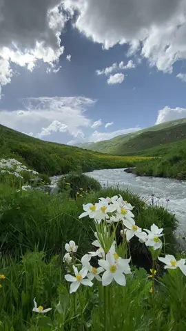 Kürtçe Şarkı Müzik 🏔️💐 Hakkari Doğa Görüntüleri HD #HakkariTV #kurdish #cilodağları #nature #photography #tv #kürtçeşarkılar #kürtçemüzik #yayla #zozan #cennet #fonmüzik #dengbeji #kürtçe #kurdish #kurdish @◥꧁WȺẔER_SȺẔ🎤🪕⚡ #nature #hakkari #cilo #kurdistan #kurds #koçer #music 