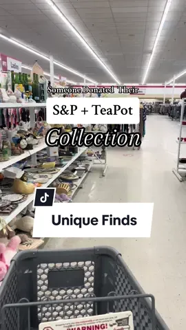 I love the couch shakers #thrifting #thrifted #thriftfinds #thriftfindsoftheday #thriftedhome 