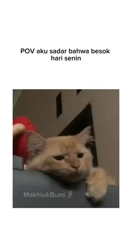 sialan#fypシ #xyzbca #fyppppppppppppppppppppppp #4u #JelajahRamadan #sadvibes🥀 