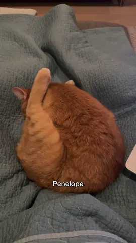 uhhhh