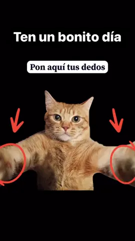 \🐱/ 