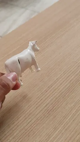 #elgobiernogobierna #meme #memestiktok #vaca #humor 