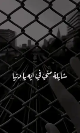 شايله مني في ايه يا دنيا #اصاله#حالات_واتس #تصميم_فيديوهات🎶🎤🎬 #foryou #4u #fypシ 