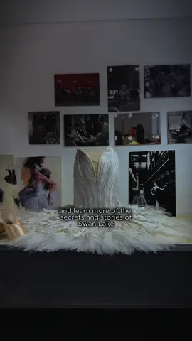 Once a failure, now a fan-favourite 🩰 Did you know when Swan Lake first opened in 1877, it was deemed a disaster? Discover more about the secrets and stories of this timeless ballet on our Swan Lake-themed tour, complete with a delicious afternoon tea. Book your tickets via the link in our bio today. #SwanLake #Ballet #BalletDancer #TheRoyalBallet #RoyalOperaHouse https://www.roh.org.uk/tickets-and-events/ballet-tea-and-tour-details