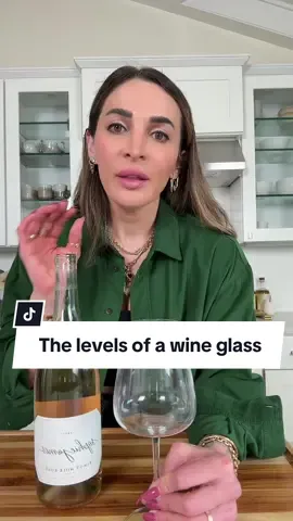 These are the levels of a wine glass! Do you agree? 😂 #wine #funnyvideos #winetime 