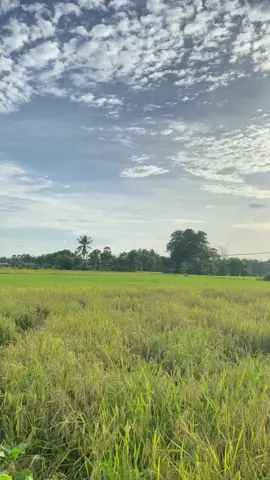 #mentahanvideo #soundviral #storykalamasue #storykatakata #bugispangkep #fypdongggggggggシ 