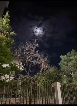 #crimson #musicliricktimorleste#  #foryou #vibess #masukberandafyp 